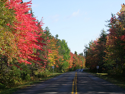 Herfstkleuren in Canada