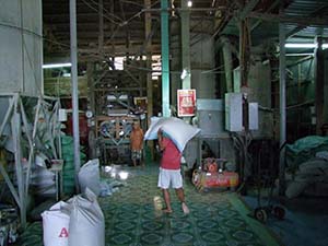 Rijstfabriek