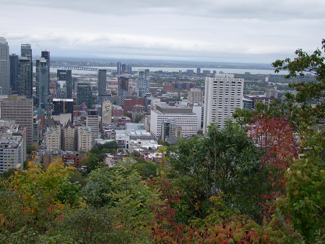 Montreal stad