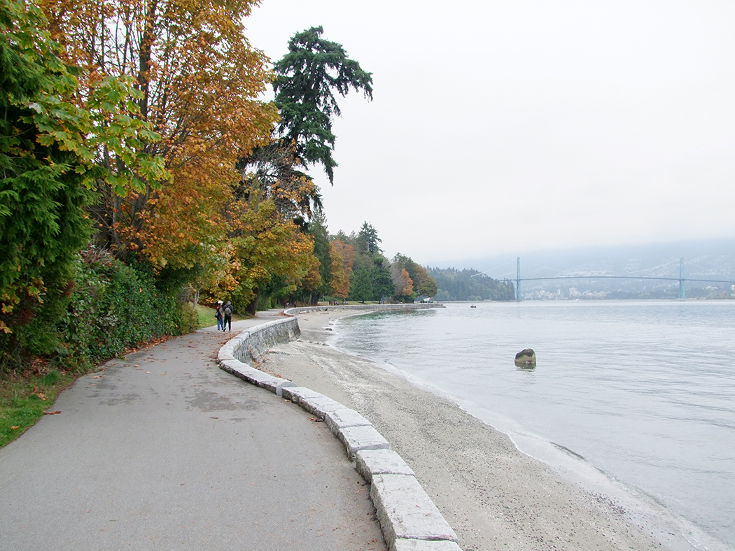 Stanly Park in Vancouver