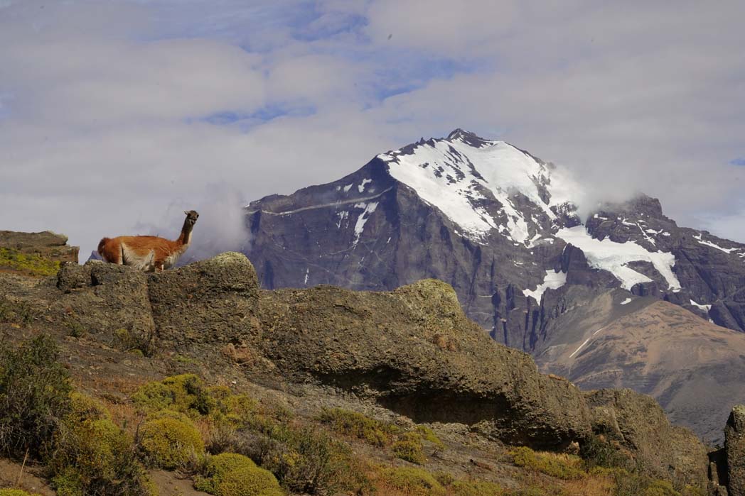 Patagonie, Torres del Paine